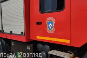 Весной 80% пожаров в Пензенской области происходят из-за сжигания травы