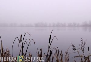 В Пензенской области 6 апреля откроется охота на пернатую дичь
