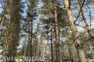 22 марта на территории Пензенской области прогнозируется 9 градусов тепла