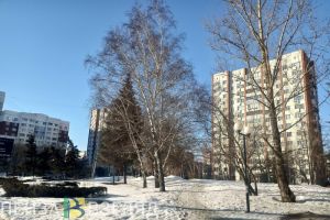 С воскресенья на погоду в Пензенской области будет влиять атлантический циклон