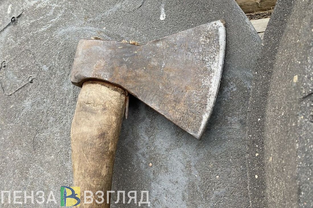 В Пензенской области мужчина сбил на снегоходе косулю, а после зарубил ее  топором