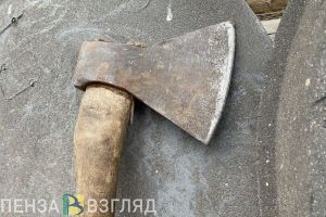 В Пензенской области мужчина сбил на снегоходе косулю, а после зарубил ее топором