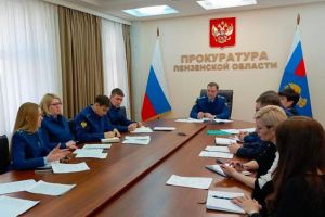 В Пензенской области фиксируют рост преступлений в сфере реализации нацпроектов