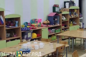 Пензенцы жалуются на качество охраны детсадов и школ