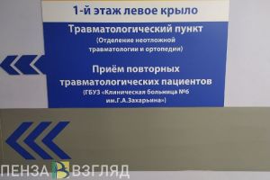 За неделю более 700 пензенцев обратились к травматологам