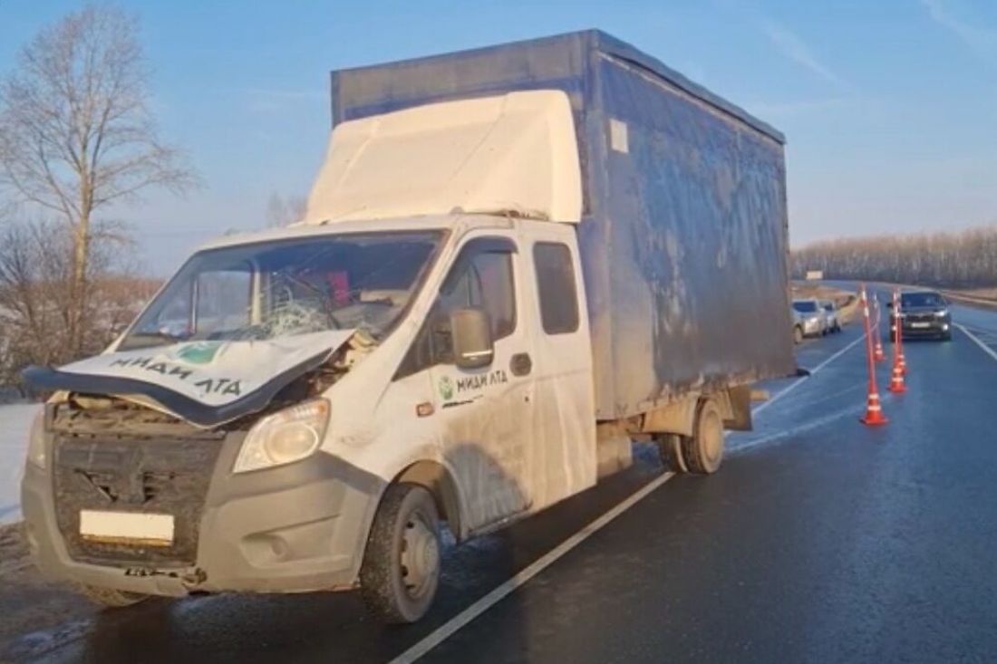 В Нижнеломовском районе водитель «ГАЗели» насмерть сбил пешехода