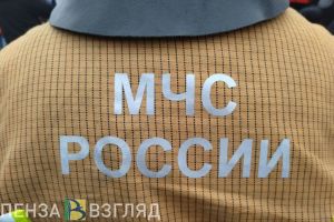 В Пензе сотрудники МЧС спасли жизнь собаке