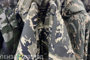 Пензенцам рассказали про поддельный документ о новой мобилизации