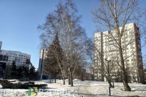 27 марта в Пензенской области ожидается дождь и ветер до 20 метров в секунду