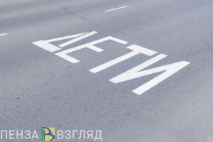 Пензенцы узнали, какие места депутаты запретили посещать педофилам