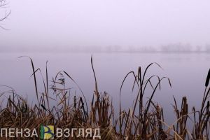 Завершены поиски пропавшего 61-летнего жителя Пензы