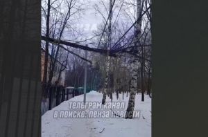 На проспекте Победы в Пензе упал светофор, а на Западной - дерево