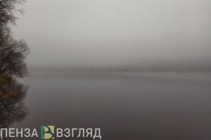 В Пензенской области возбудили уголовное дело об исчезновении молодого человека