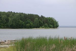 В Пензенской области организуют наблюдение за состоянием Сурского водохранилища