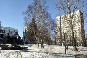 30 марта в Пензенской области прогнозируют дождь и 11 градусов тепла