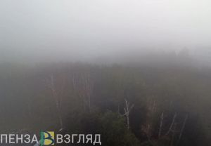 Пензенцев предупреждают о тумане 31 марта