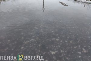 Уровень воды в реке Сердоба поднялся до 4 метров 10 сантиметров