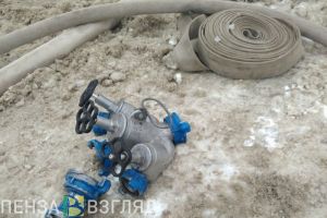 Соцсети: под Пензой загорелась конюшня
