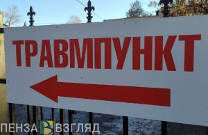 Пензенцам рассказали о действиях после укуса гадюки