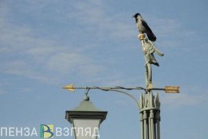 В Санкт-Петербурге пензенские туристы теперь должны заплатить курортный сбор