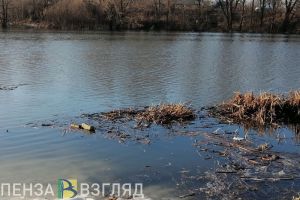 Кузнечан просят сообщать Управлению по делам ГО ЧС о подъеме воды в реке Труев