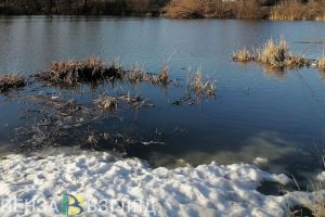 Златогорский прокомментировал ситуацию с подтоплениями в Кузнецке