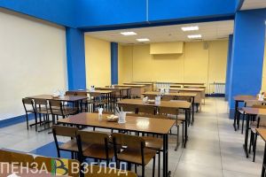 Пензенцам перечислили семь мер поддержки многодетных семей в регионе