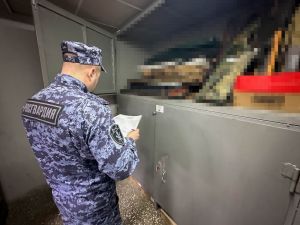 В Пензенской области росгвардейцы проверяют оружейные магазины