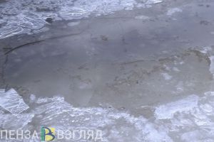 В Пензенской области подтоплены 109 придомовых территорий и три моста