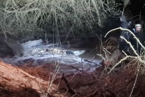 Опубликованы фото с места гибели в водоеме двух жителей Пензенской области