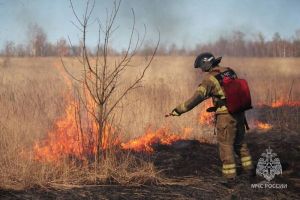 За сутки в Пензенской области произошло 8 случаев возгорания сухой травы