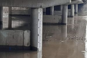 На реке Сердобе наблюдается снижение уровня воды