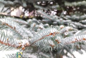 В Пензенской области на выходных возможен снегопад