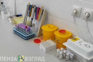 Пензенцам объяснили, как правильно удалять клещей
