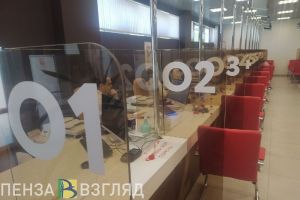 Пензенским охотникам подсказали удобный способ получить разрешение на добычу
