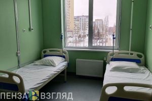 В 2024 году в Пензенской области 14 человек пострадали в ДТП с пьяными водителями