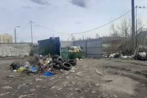 Пензенцы пожаловались Коломыцевой на свалку на ул. Леонова