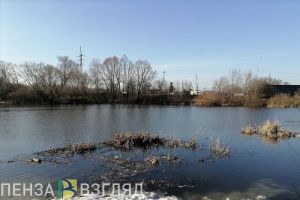 Пензенский регион продолжает помогать Оренбургской области в связи с паводком