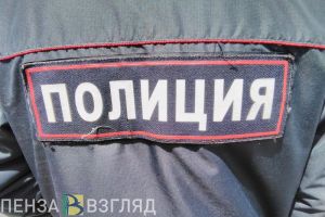 Кузнечанин ударил полицейского и может сесть в тюрьму