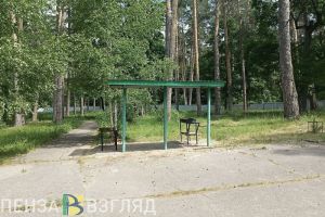 Пензенцам рассказали о судьбе детского лагеря «Орленок» в Ахунах