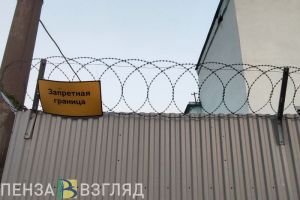 Заключенный призывал к экстремизму и насилию над сотрудниками пензенского ФСИН