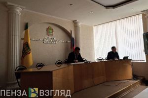 181 придомовая территория была затоплена в ходе паводка в Пензенской области