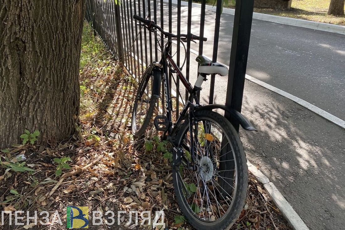 В Пензе велосипедист сбил маленькую девочку и скрылся с места ДТП