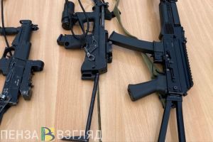 В Пензенской области охотник заплатил более 400 тысяч рублей за убитого лося