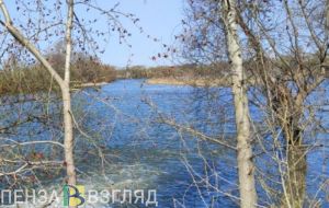 Ученый объяснил, с чем связано нашествие бобров в Пензенской области