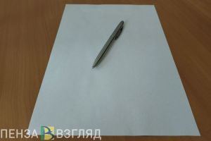 Бастрыкину доложат о нарушении жилищных прав в Пензенской области