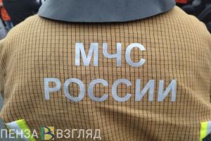 За прошедшие сутки в Пензенской области произошло 25 пожаров