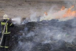 В Бессоновке сухая трава загорелась на площади 3 гектара