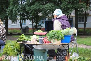 Пензенская область вошла в топ-20 регионов по росту потребительского спроса