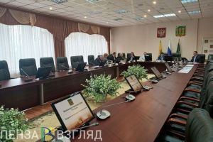 В Пензе прошло заседание комиссии Гордумы по местному самоуправлению